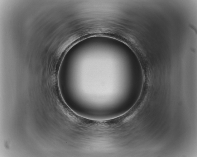 X0000099511073200805151454