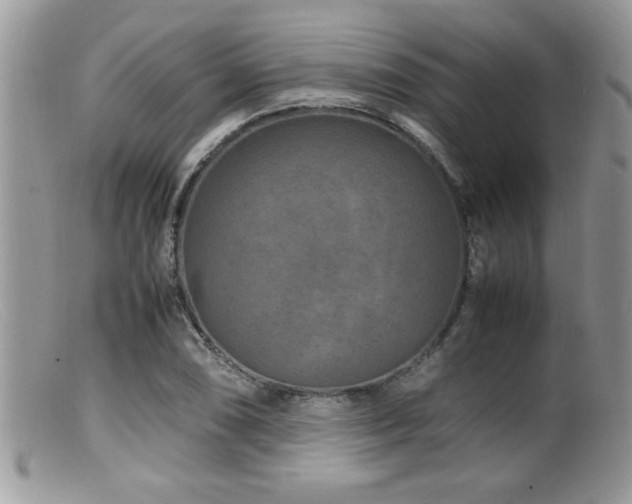 X0000099511074200805151454