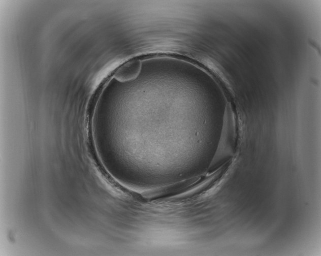 X0000099511077200805151454