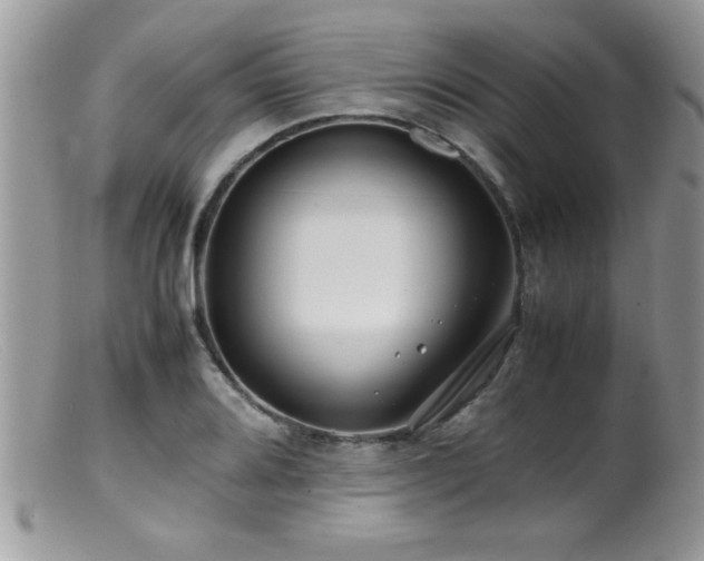 X0000099511080200805151453