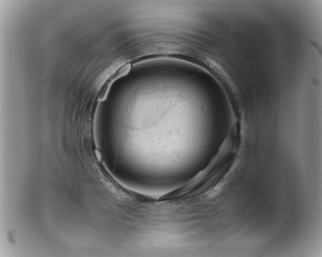 X0000099511081200805151453