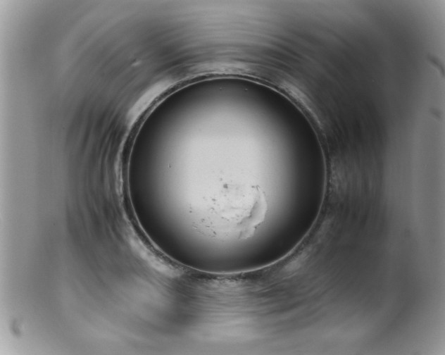 X0000099511082200805151453