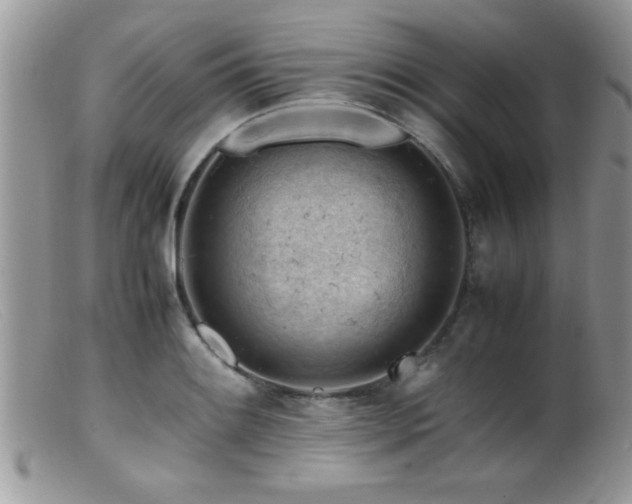X0000099511084200805151453