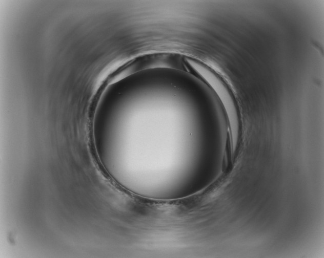 X0000099511085200805151453