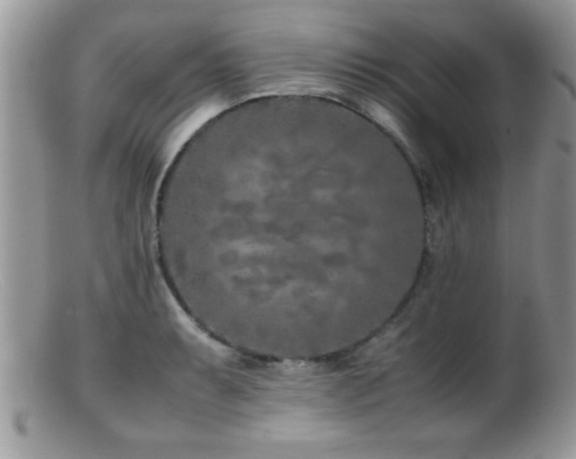 X0000099511087200805151453
