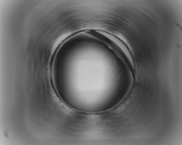 X0000099511088200805151453