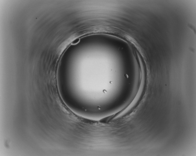 X0000099511089200805151453