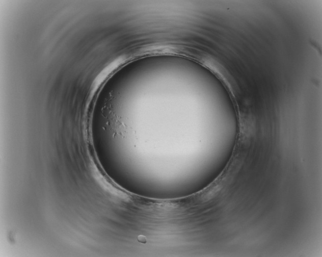 X0000099511090200805151453