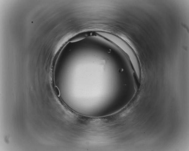X0000099511093200805151453