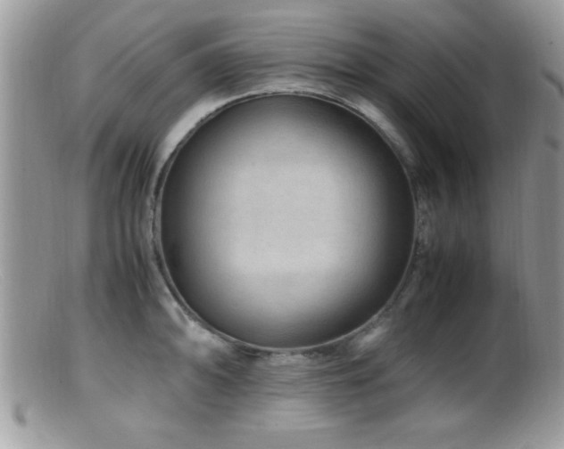X0000099511094200805151453