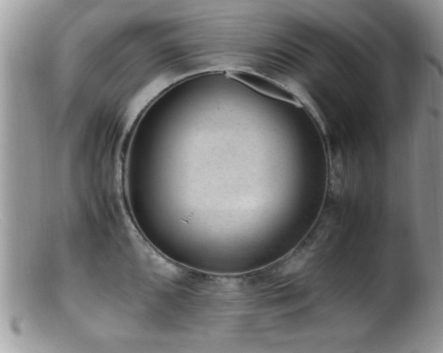 X0000099511096200805151453