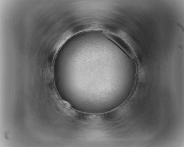 X0000099511097200805151453