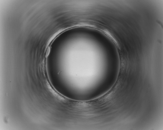 X0000099511100200805151453