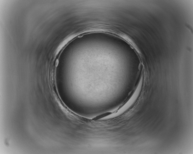 X0000099511101200805151453