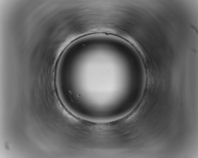X0000099511102200805151453