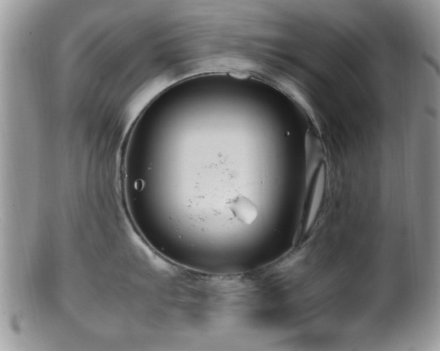 X0000099511103200805151453