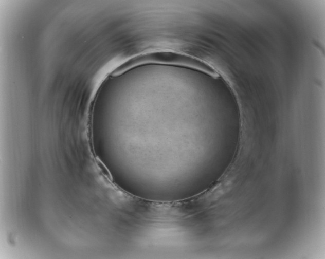X0000099511104200805151453