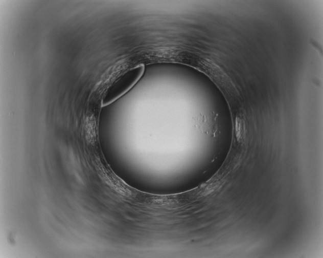 X0000099511107200805151452