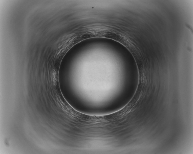 X0000099511108200805151452