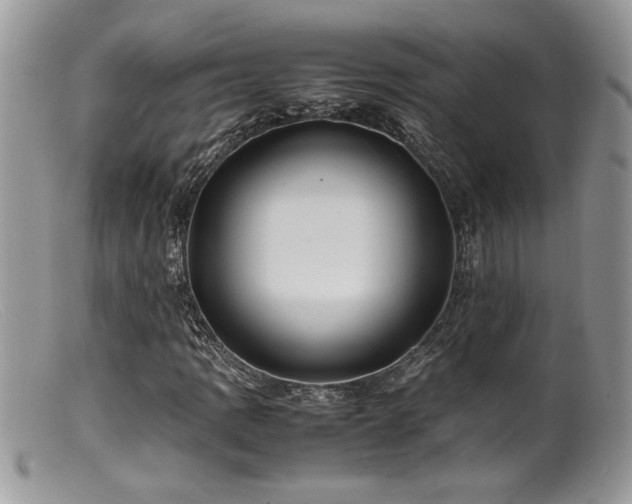 X0000099511109200805151452