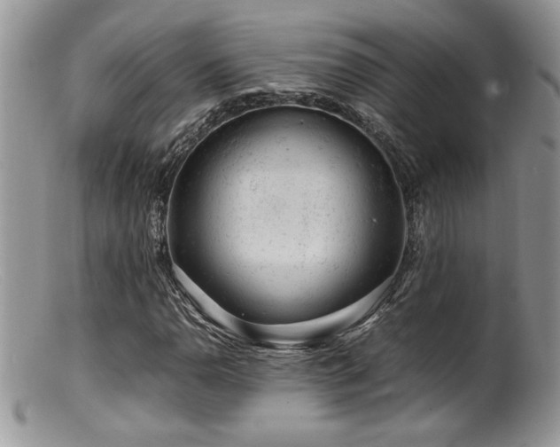 X0000099511110200805151452