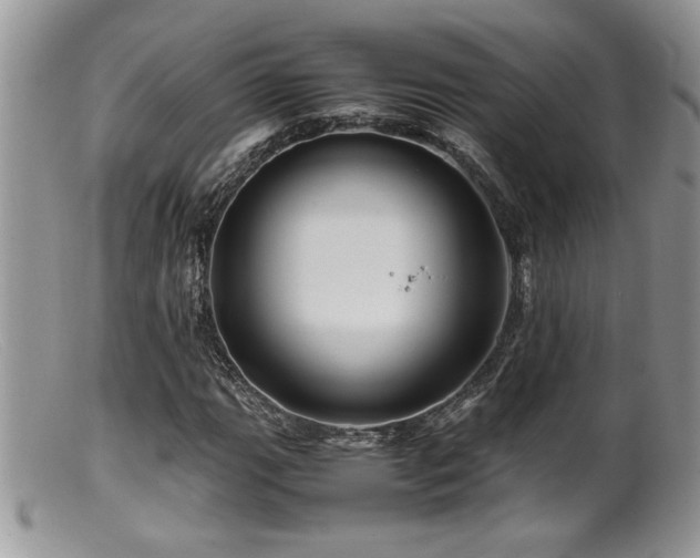 X0000099511111200805151452