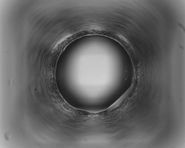 X0000099511112200805151452
