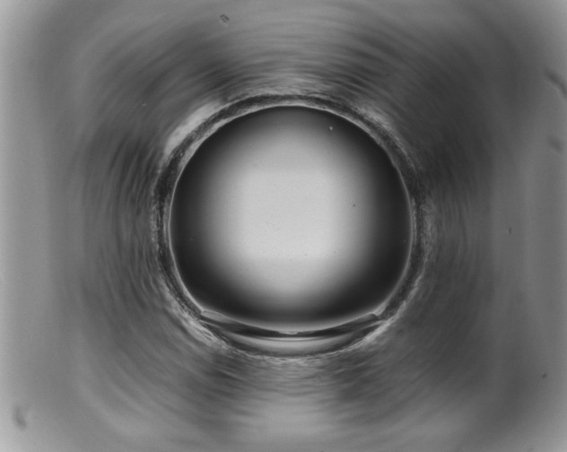 X0000099511114200805151453