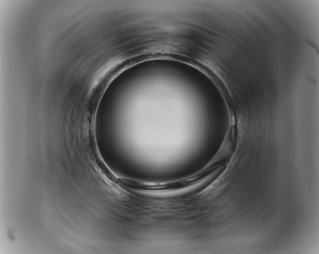 X0000099511115200805151453