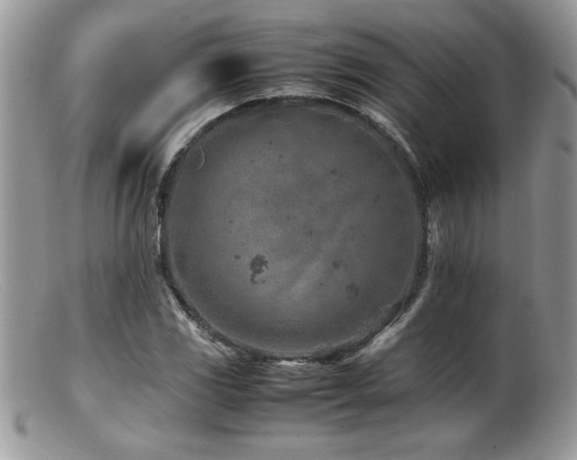 X0000099511117200805151453