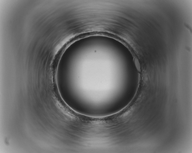 X0000099511118200805151453