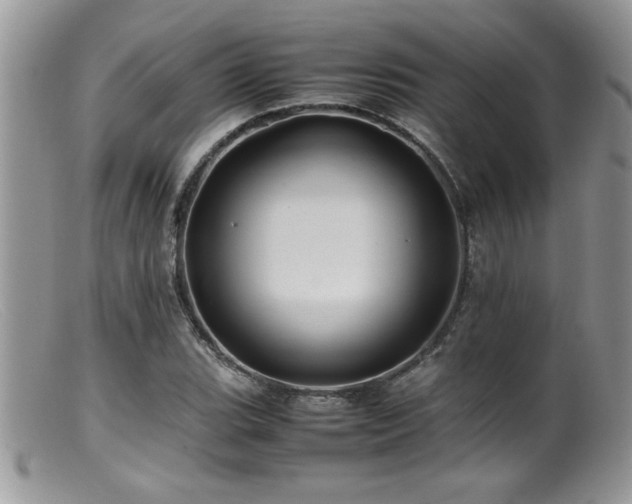 X0000099511119200805151453