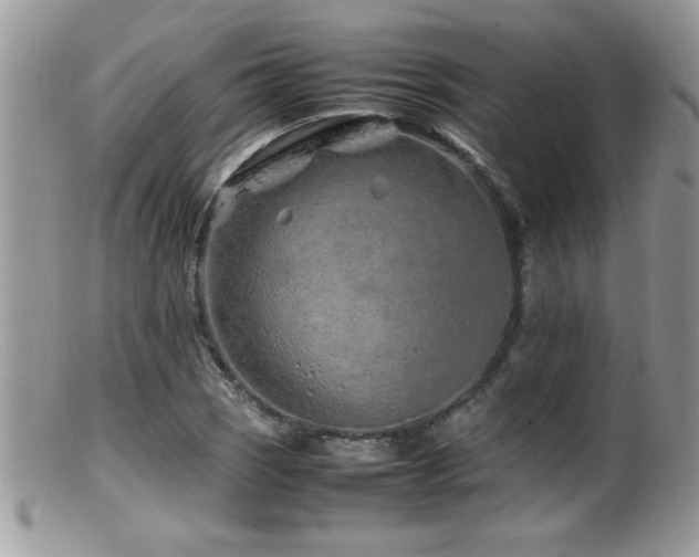 X0000099511121200805151453