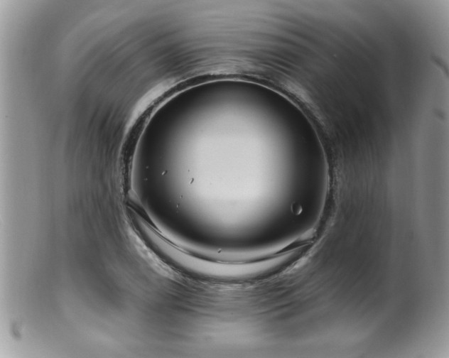 X0000099511122200805151453