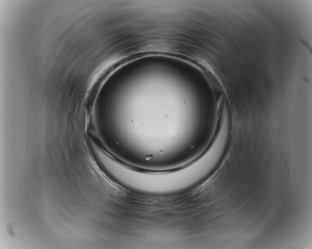 X0000099511123200805151453
