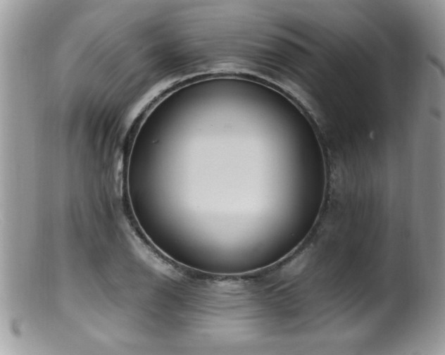 X0000099511126200805151453