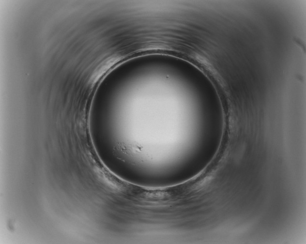 X0000099511129200805151453