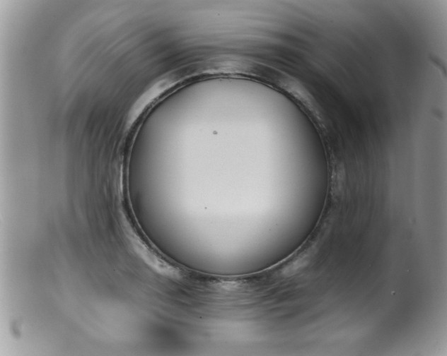 X0000099511130200805151453