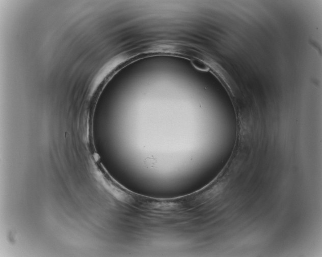 X0000099511131200805151453