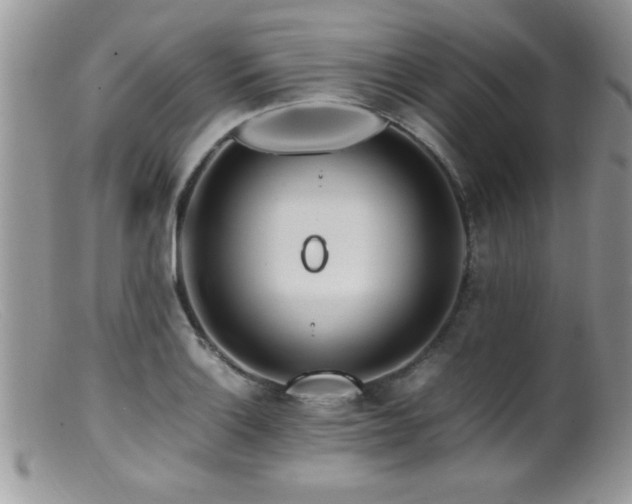 X0000099511132200805151453
