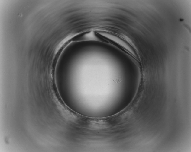 X0000099511133200805151453