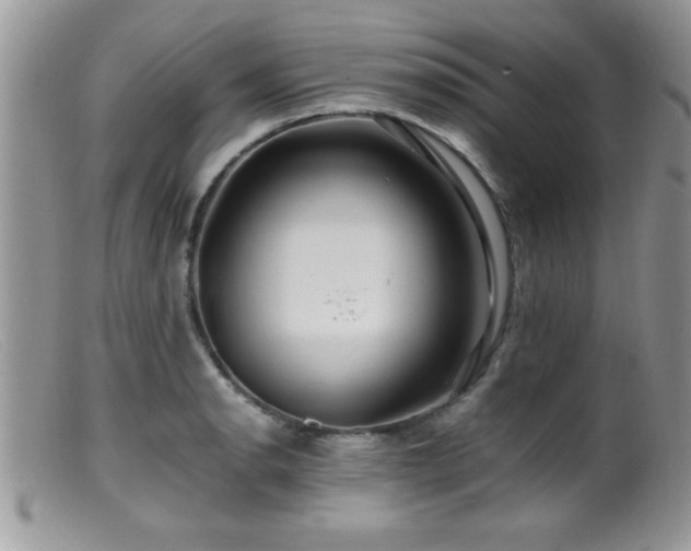 X0000099511134200805151453