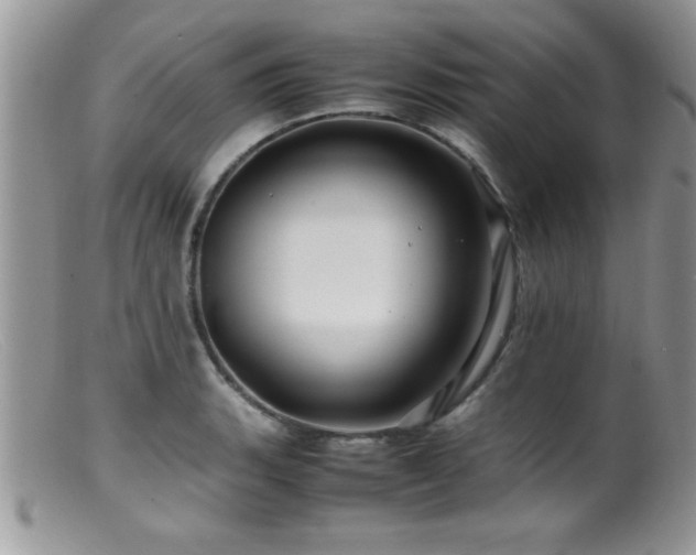 X0000099511135200805151453