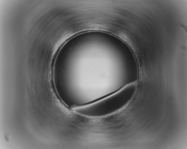 X0000099511136200805151453