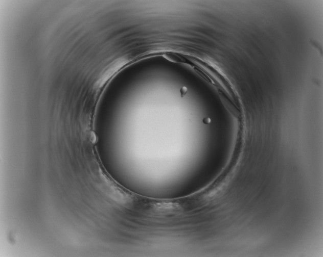 X0000099511137200805151453