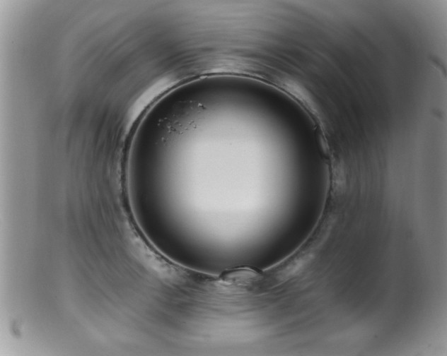 X0000099511138200805151453