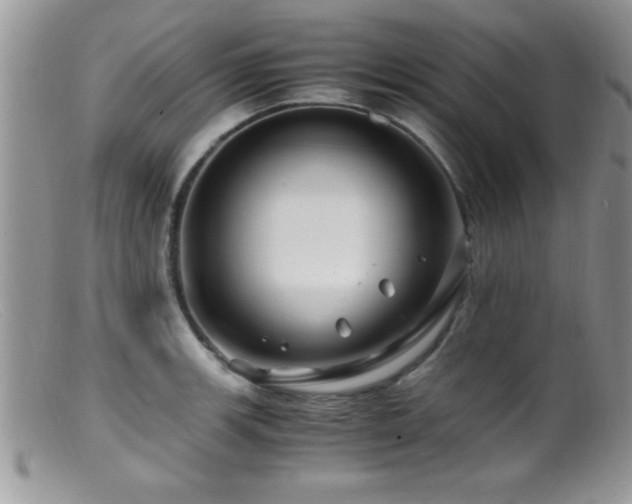 X0000099511139200805151453