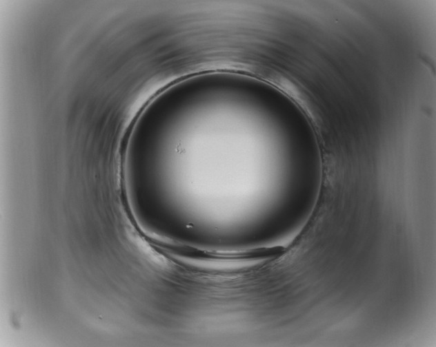 X0000099511140200805151453