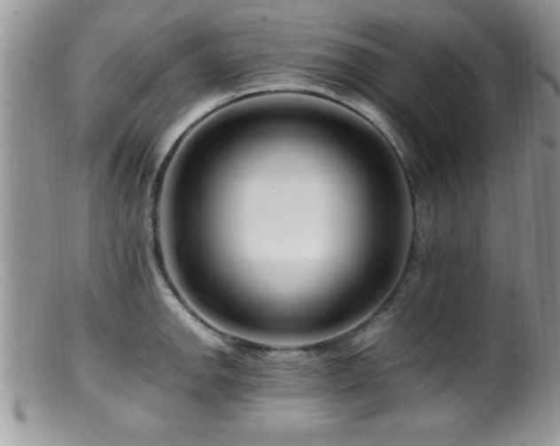 X0000099511142200805151453