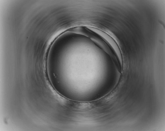 X0000099511144200805151453